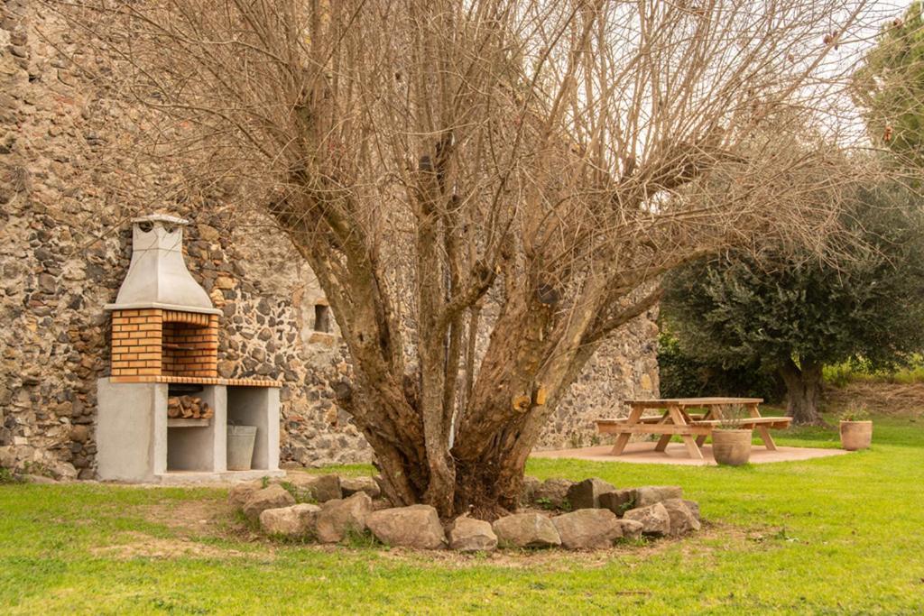 Casa Rural En Rupia Con Piscina 外观 照片